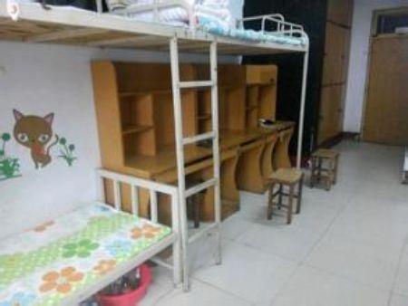 学生活动