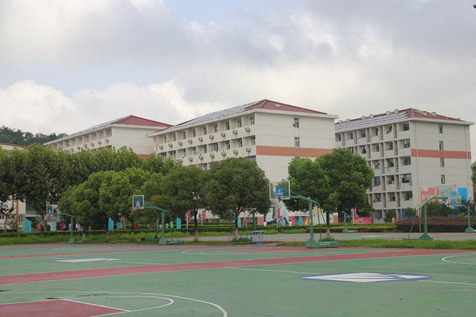 校园环境